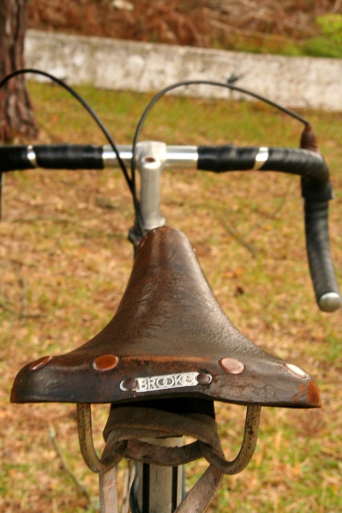 [ciclismo+brooks+10.jpg]