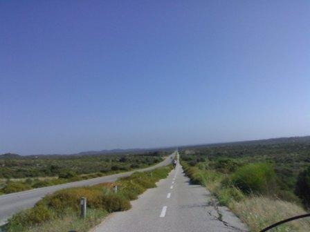 [1+vieira+estrada.jpg]