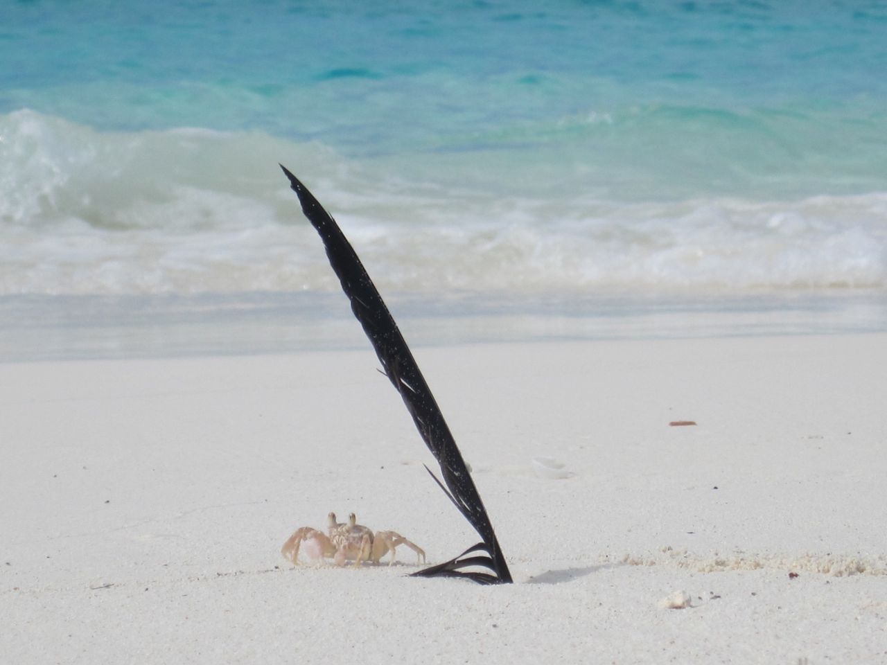 FOAM Feather Phenomenon