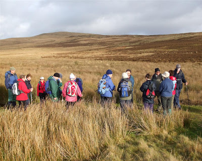 The Glebe Blog: Wigtownshire Ramblers-Currarie Glenapp