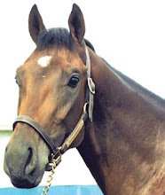 Deputy Minister - from the Canadian Horse Racing Hall of Fame