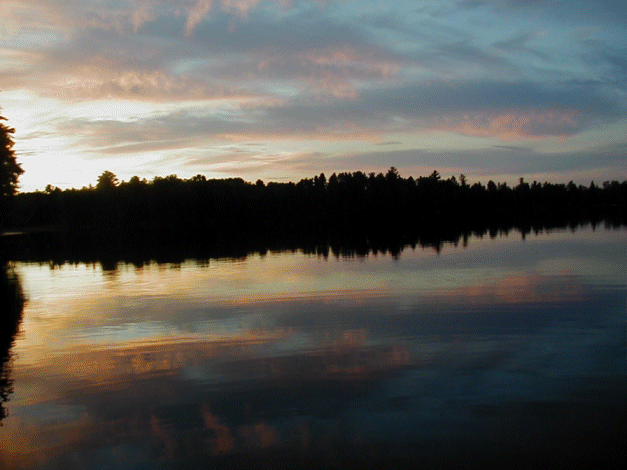 A View of our Lake