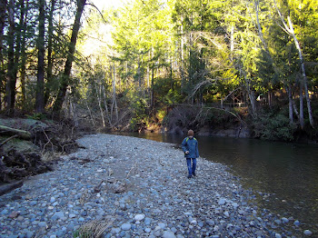 Rex hikes along the Tahuya River