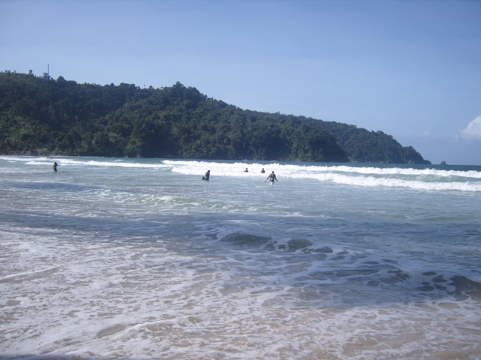[S1031539.JPG]