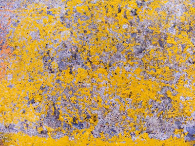 textura concreto