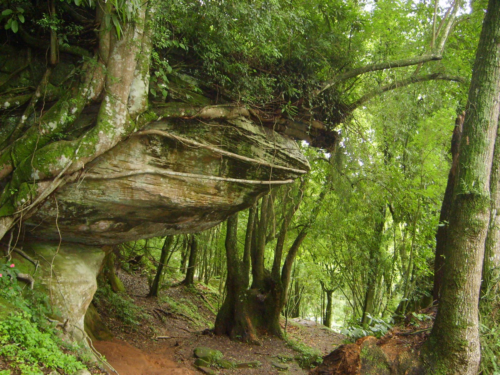 [35+Santa+Cruz+do+Sul+056.jpg]