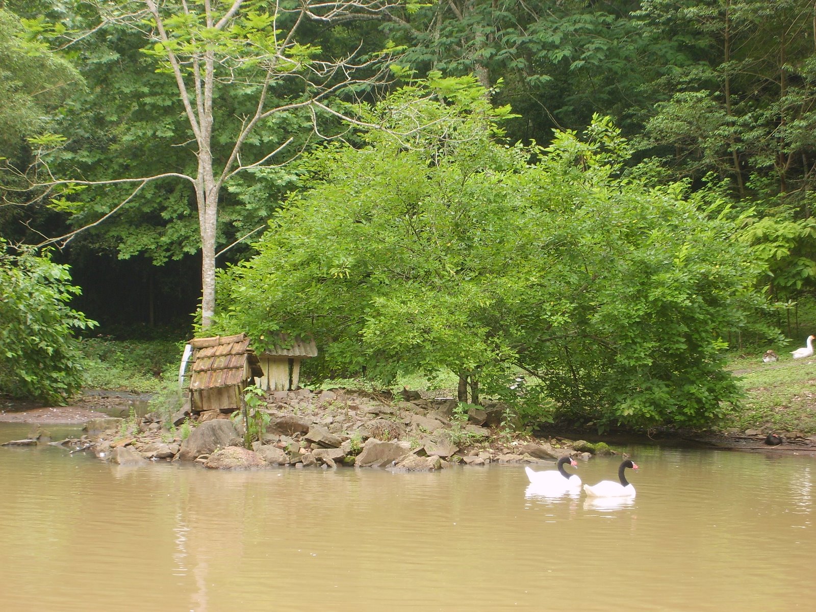 [35+Santa+Cruz+do+Sul+045.jpg]