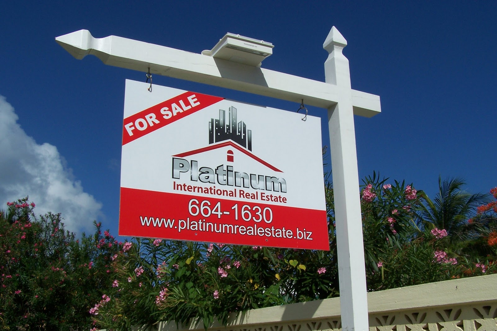 Platinum International Real Estate and Investments Belize Division