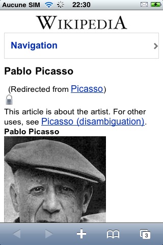 [picasso-photo.jpg]
