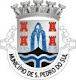 A minha foto