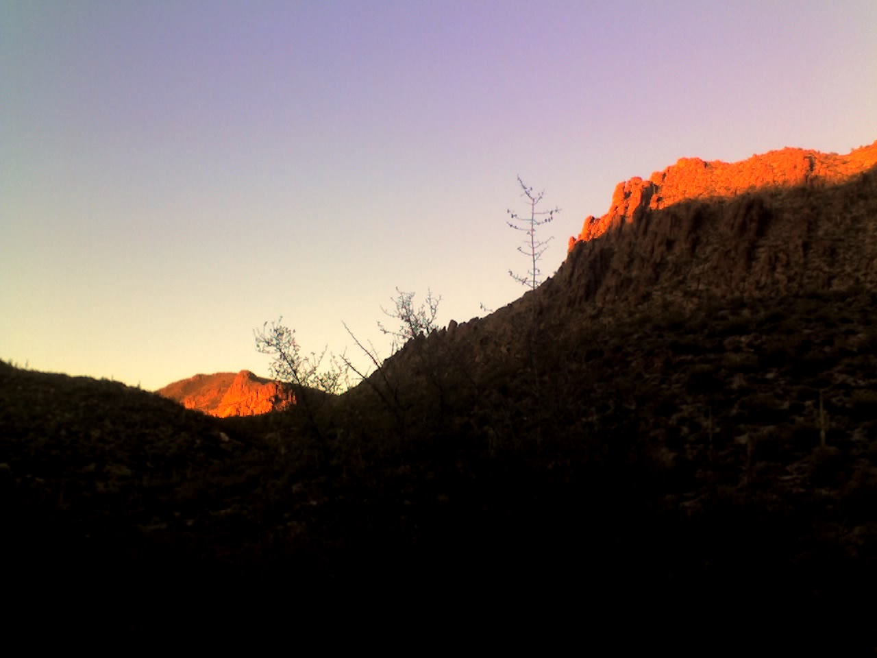 [01-07-10_1727.jpg]