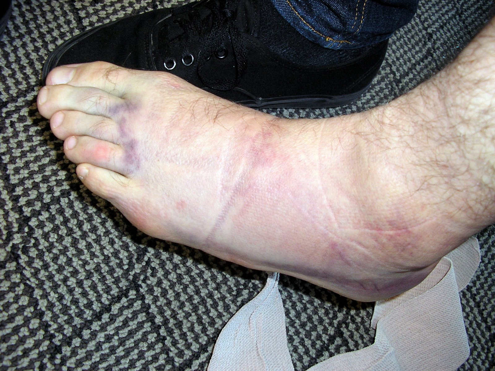 [P1010858.JPG]