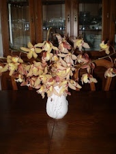 Orquídeas do Pico