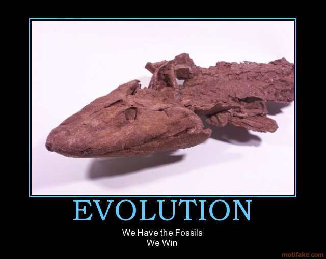 [evolution-fossils-win.jpg]