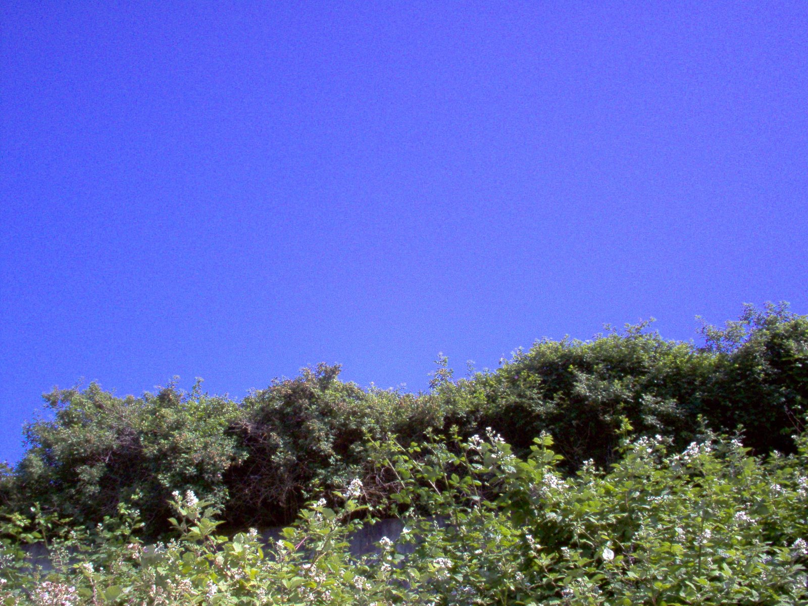 [IM000953.JPG]