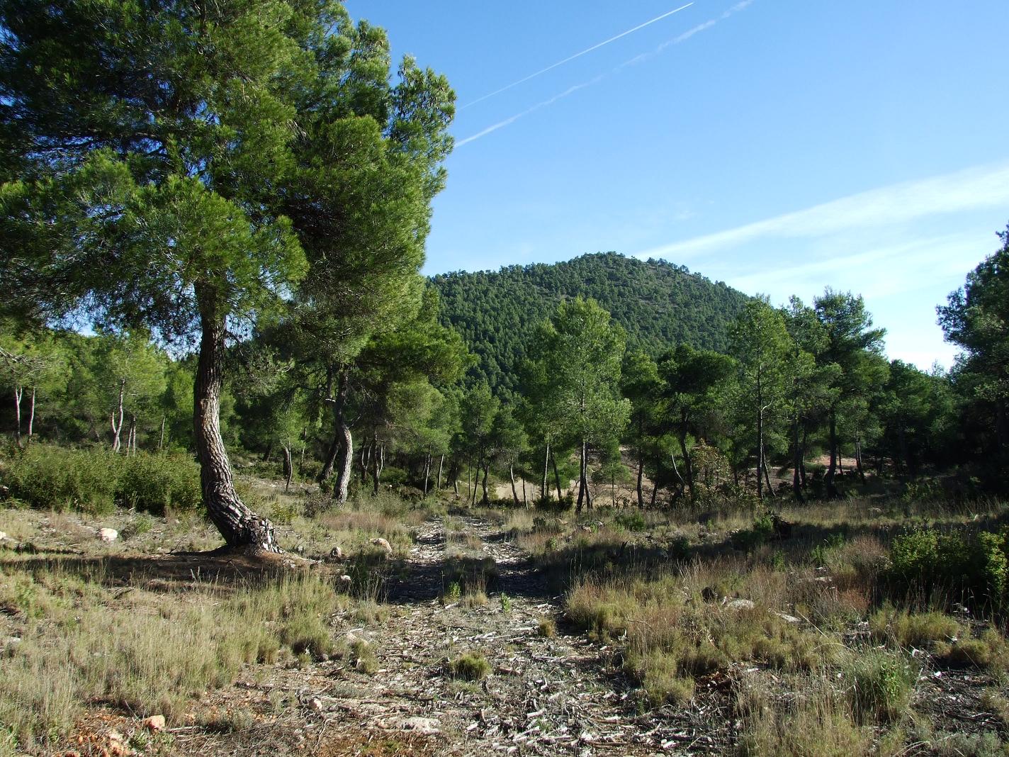 Próxima ruta Sierra de Lavia Club Senderista de Lorca