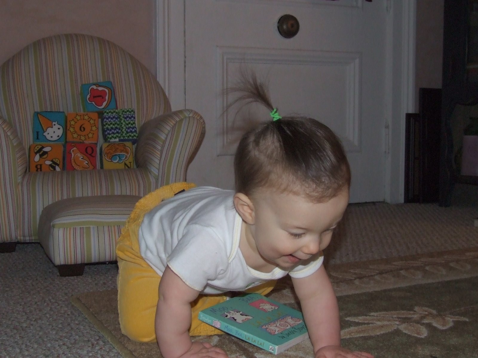[DSCF5678.JPG]