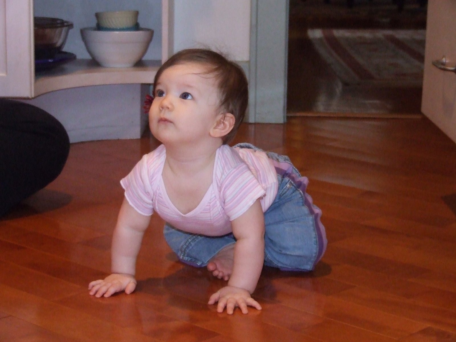 [DSCF5505.JPG]