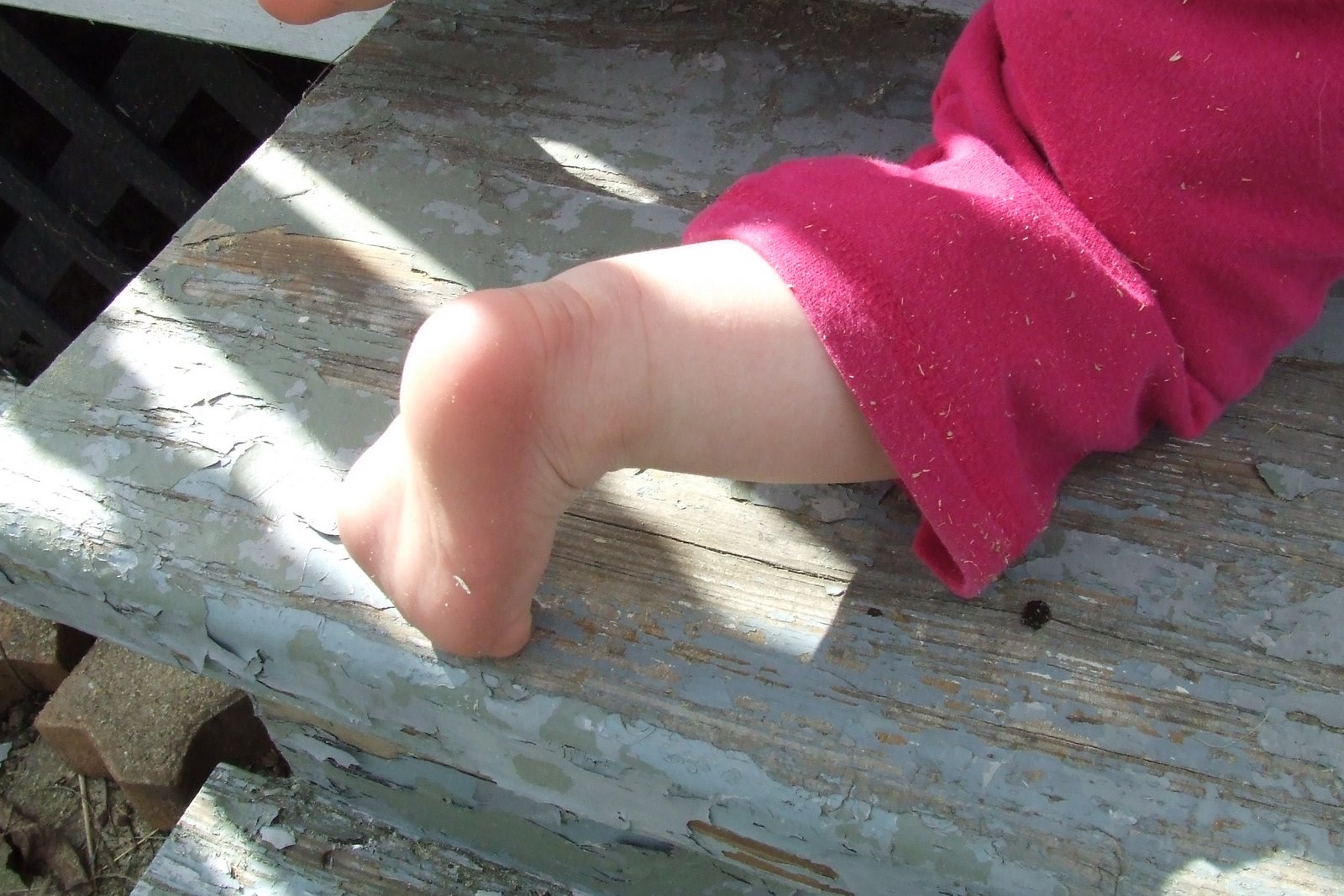 [DSCF7262.JPG]