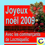 Joyeuses fêtes 2009 - 2010
