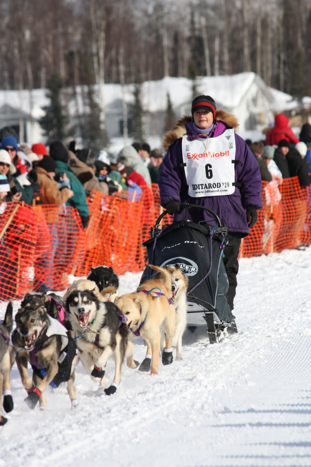 Sheryl's Great Adventure Iditarod ReStart in Willow, AK