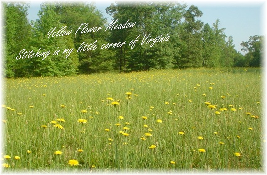 Yellow Flower Meadow