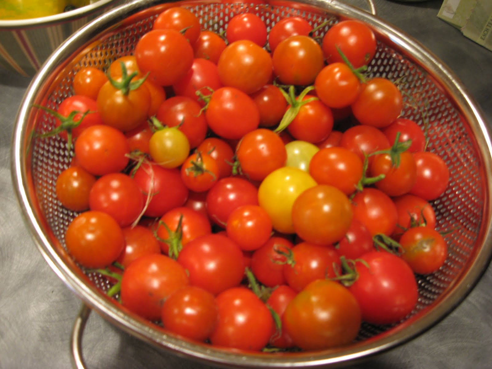 Oliver's Bungalow Sweet Millions Cherry Tomatoes