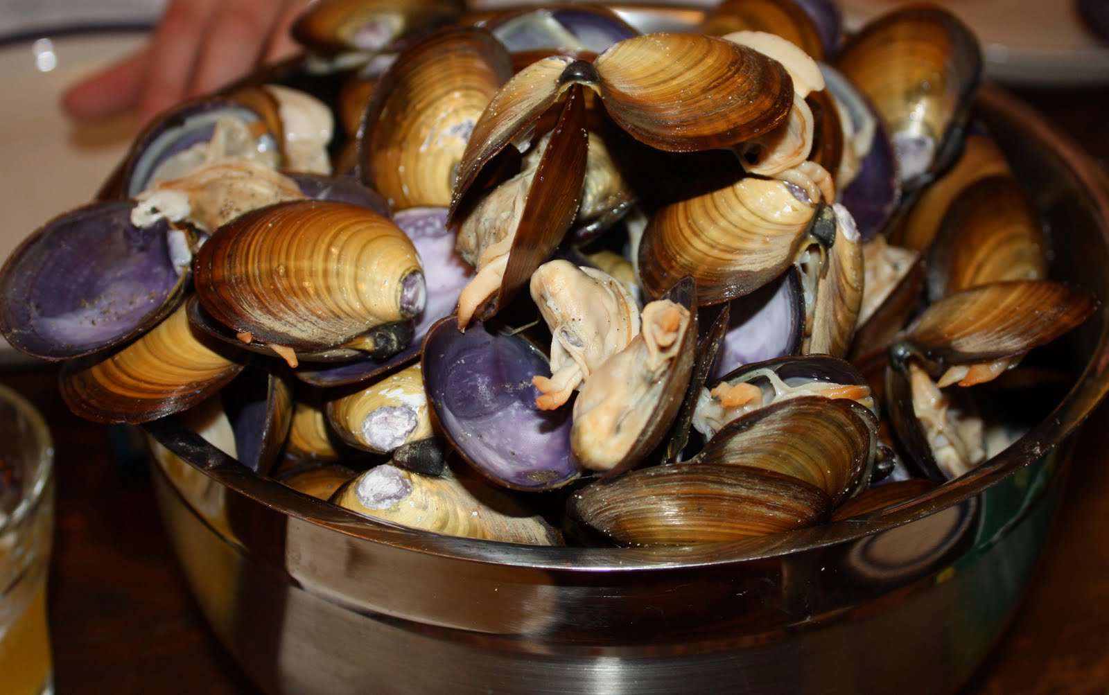 Copper Crow Studio May 2010