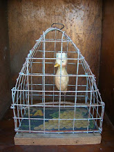 Bird in Cage  2009