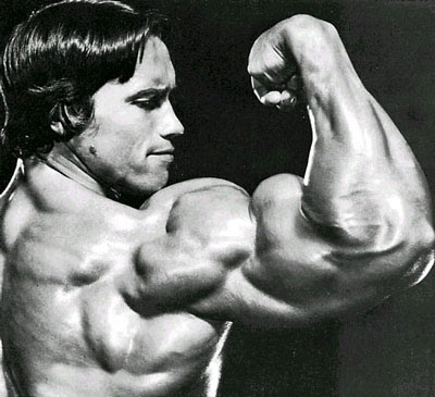 arnold schwarzenegger workout pics. arnold schwarzenegger workout