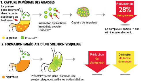 proactolfonctionne Mon avis sur le capteur de graisses Proactol