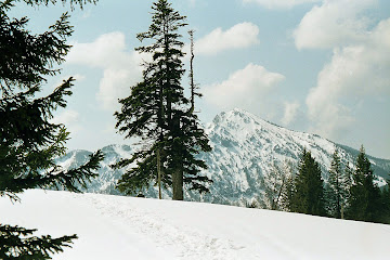 2 Ochsenkamp Blick von Wachselmoosalm 