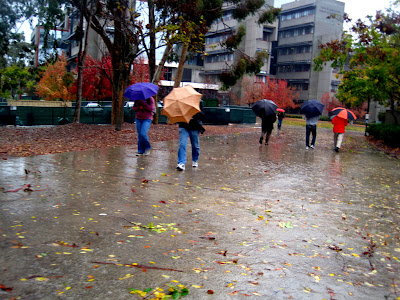UCSD: Living On Campus: Winter Break!