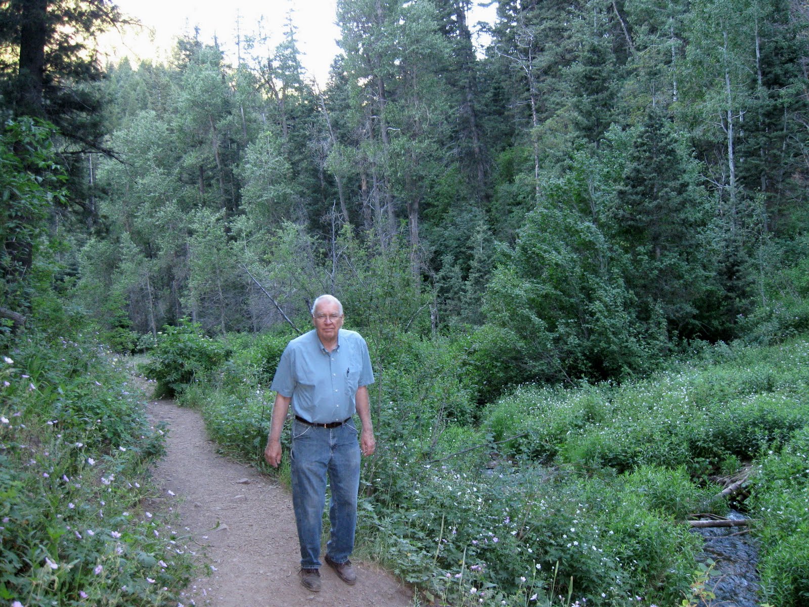Anitra'sStories Lambs Canyon Trail
