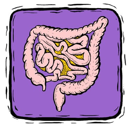 [Colon.PNG]