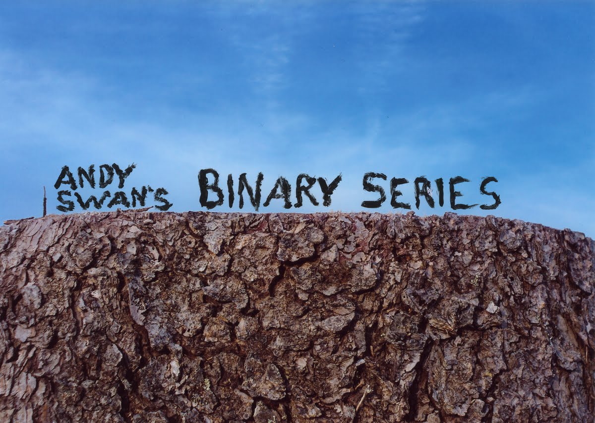 [binary+series+log+small.jpg]