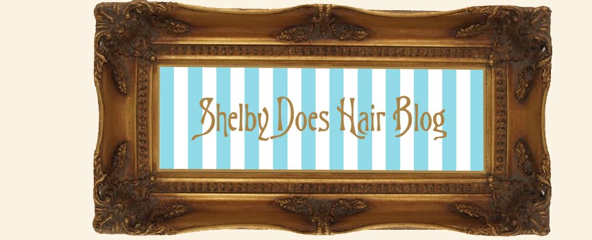 ShelbyDoesHair.com