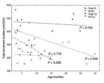 dietary supplement and effect on physical activity