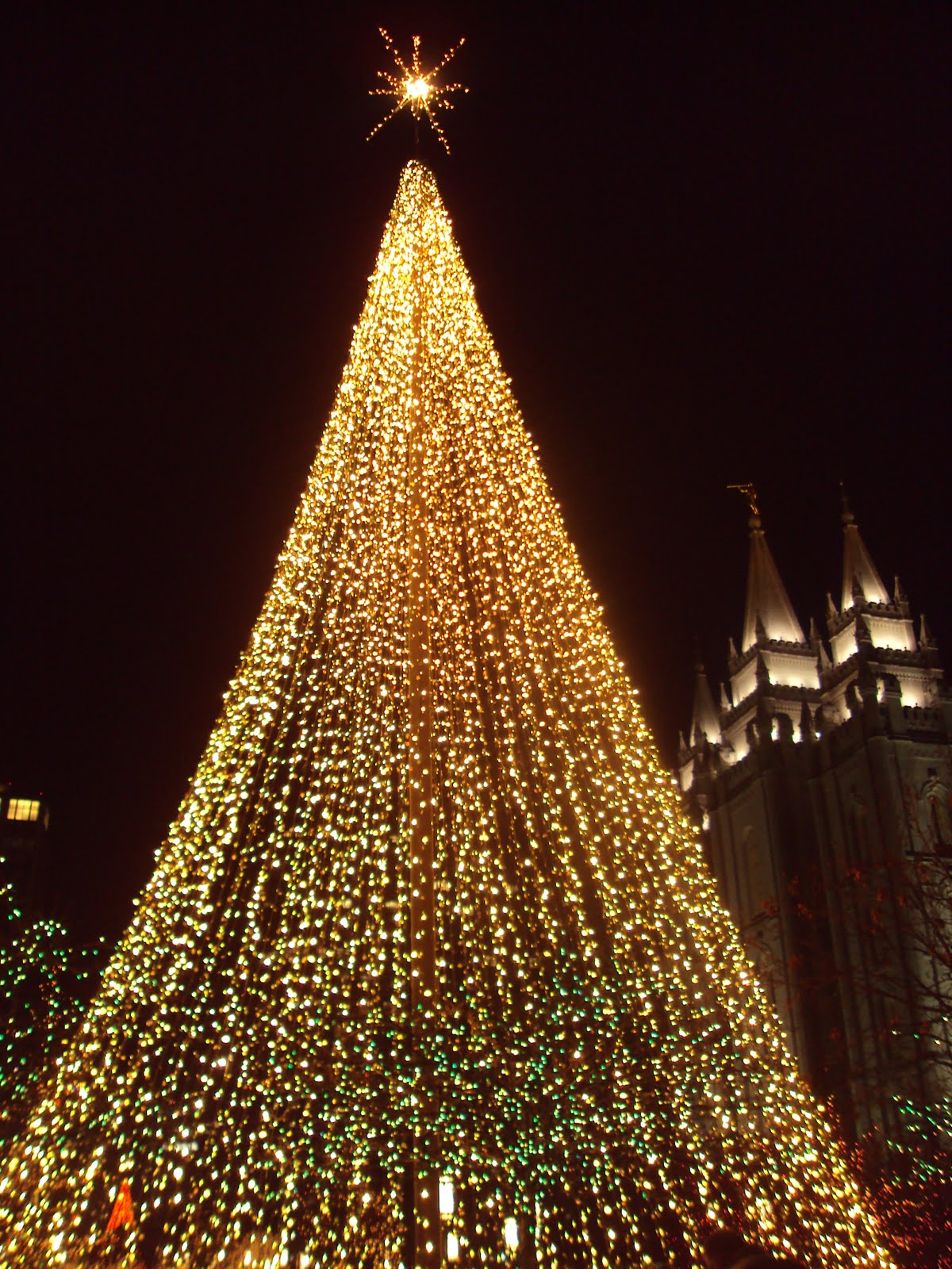 Erin Bowman Salt Lake City Temple Lights