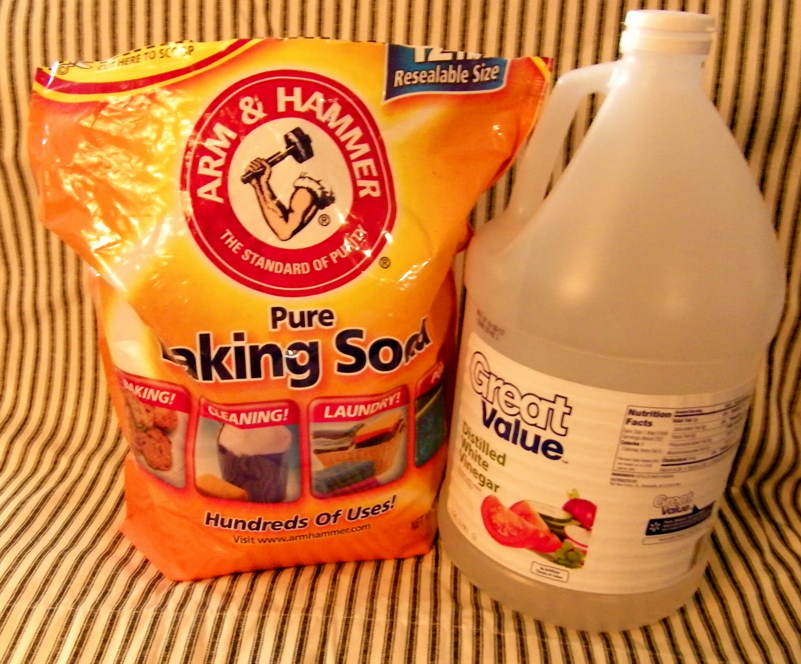 PRACTICAL PARSIMONY Dishwasher detergent substitutes