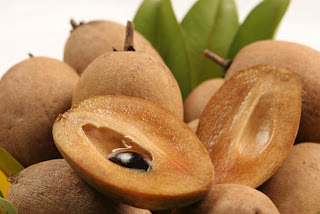 Sapodilla.jpg