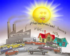 A Mobile GPRS-Sensors Array for Air Pollution Monitoring