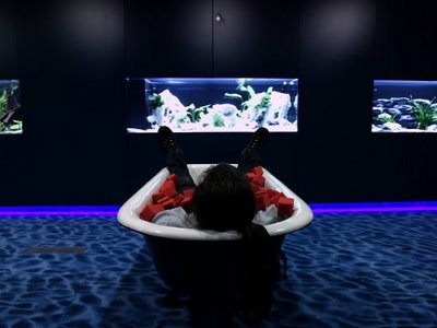 [Google+workplace.jpg]