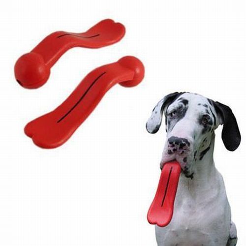 [dog+toy.jpg]