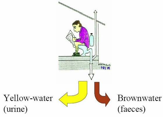 [urine-diversion+toilet+top.jpg]