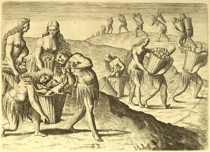 [Timucuan+male+transvestites.jpg]