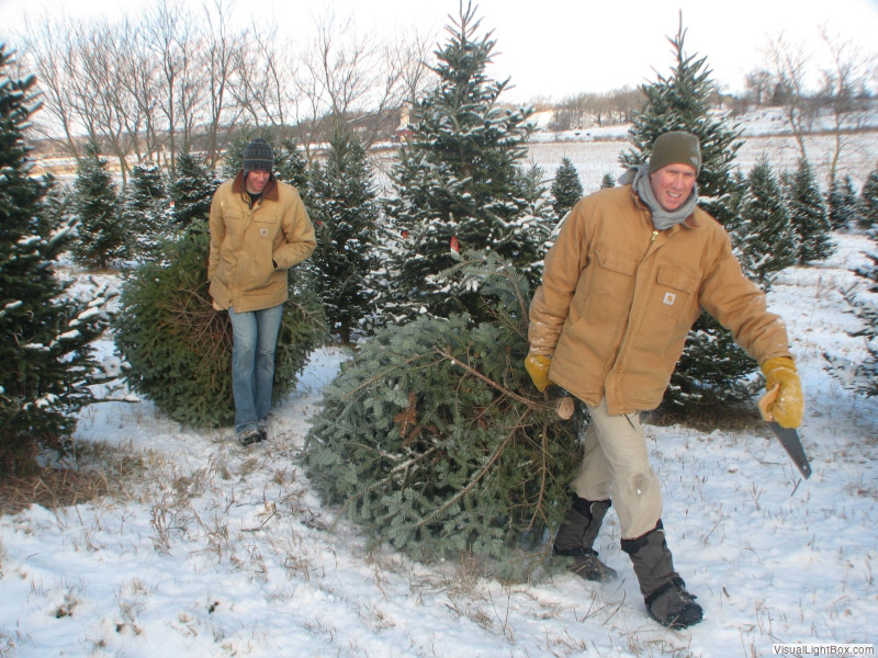 Reminded recycle residents holidays TYWKIWDBI ("Tai-Wiki-Widbee"): Preparing for Christmas