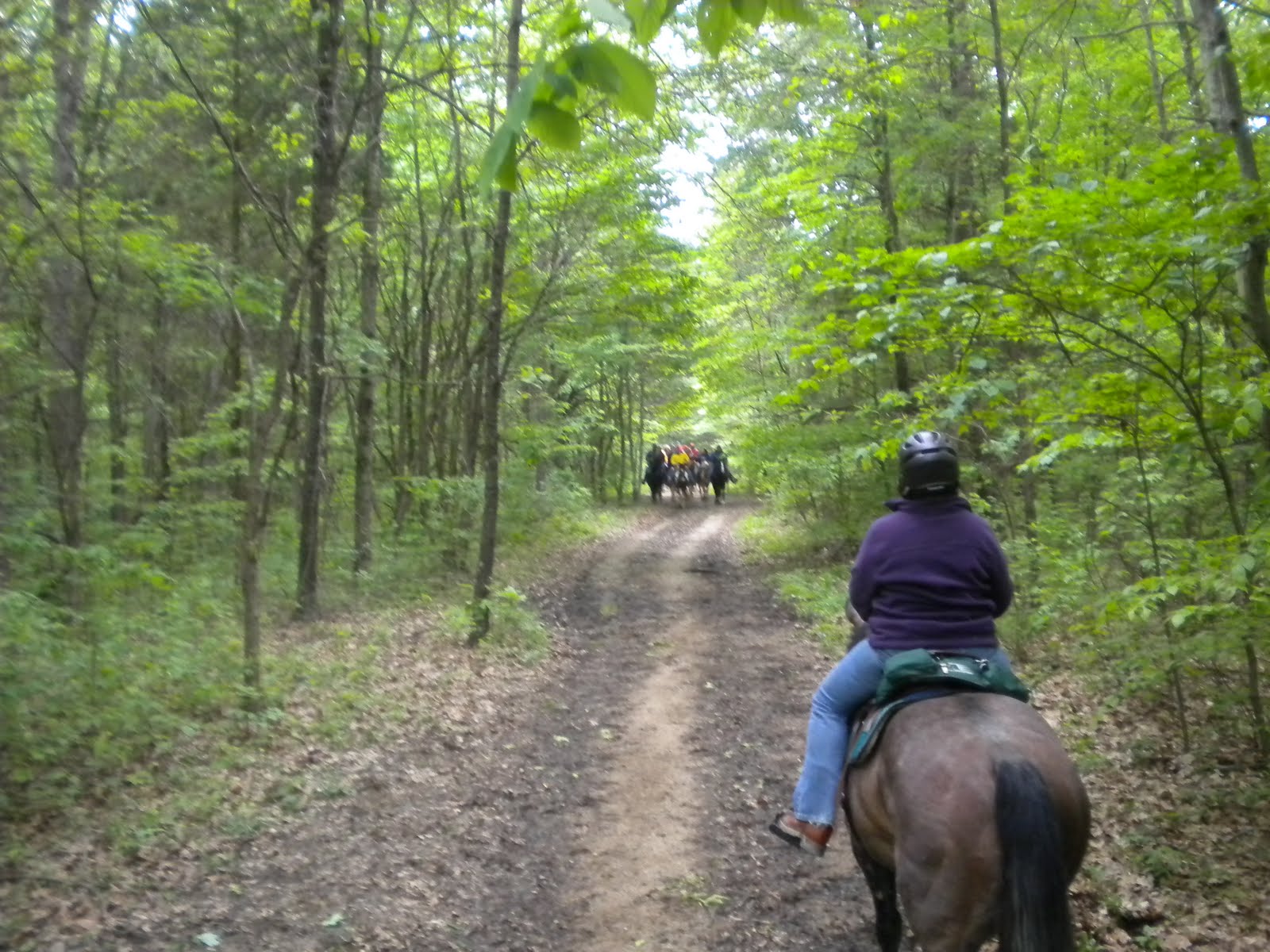 Life at the Blue Rock Ranch Trail Riding at Brown County State Park.