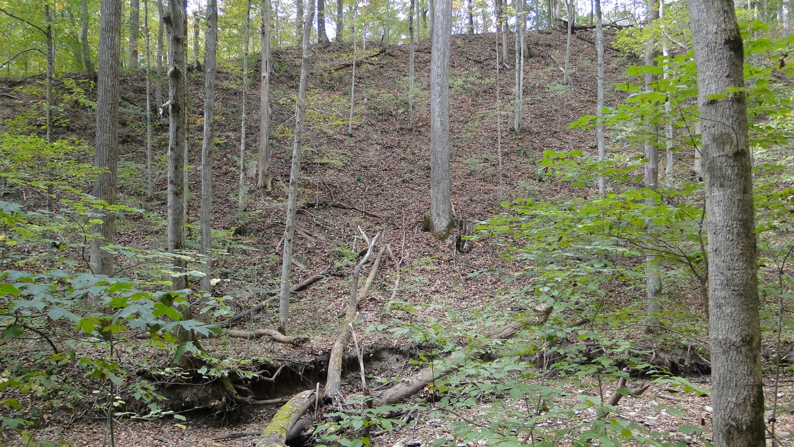 Life at the Blue Rock Ranch: A visit to Big Walnut Nature Preserve
