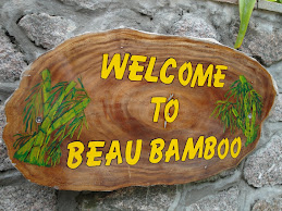 Beau Bamboo